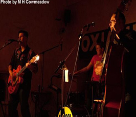 The Schoolhouse Rockers